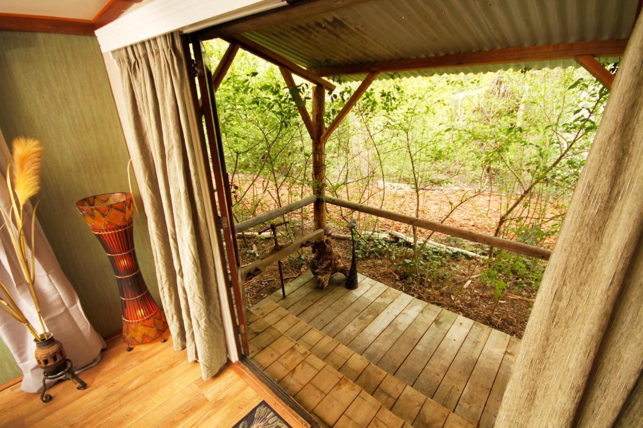 Bamboo Lodge Groningen Dış mekan fotoğraf