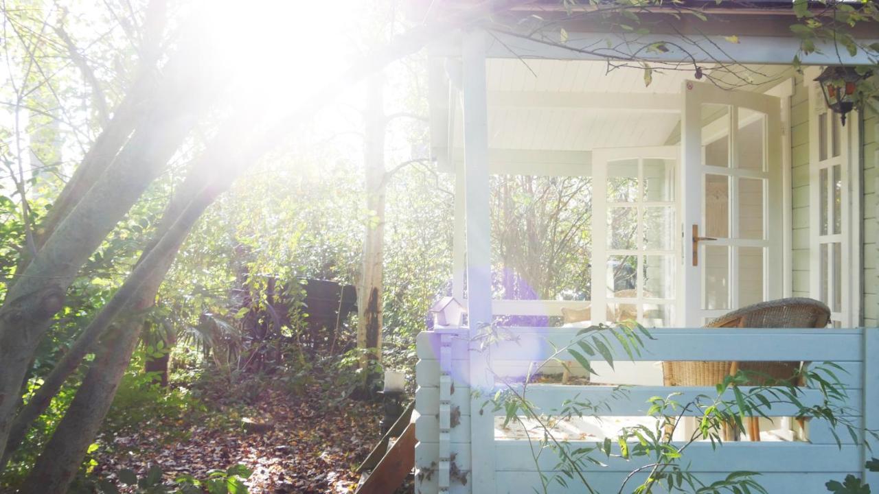 Bamboo Lodge Groningen Dış mekan fotoğraf