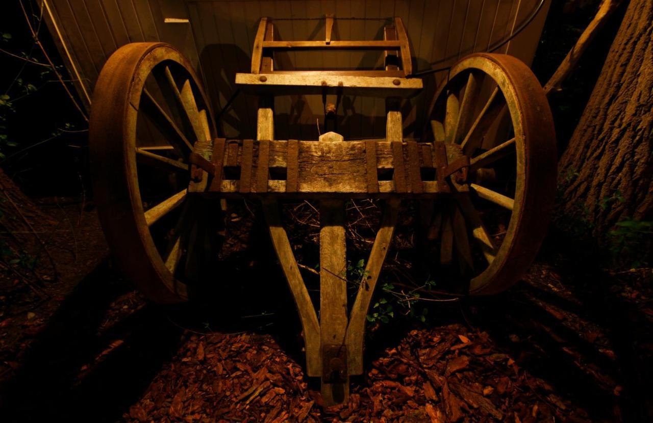 Bamboo Lodge Groningen Dış mekan fotoğraf