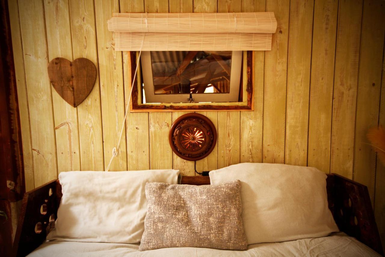 Bamboo Lodge Groningen Dış mekan fotoğraf