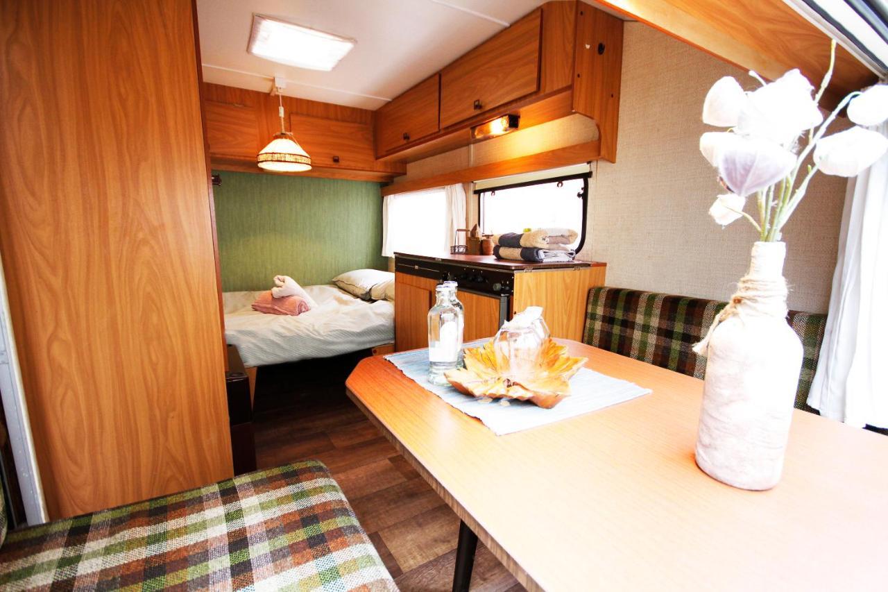 Bamboo Lodge Groningen Dış mekan fotoğraf
