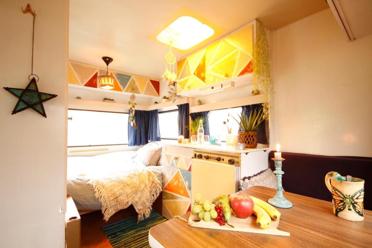 Bamboo Lodge Groningen Dış mekan fotoğraf