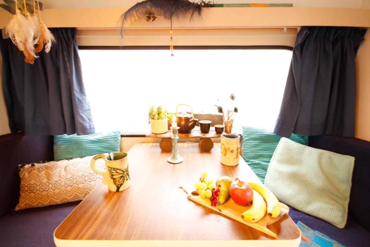 Bamboo Lodge Groningen Dış mekan fotoğraf