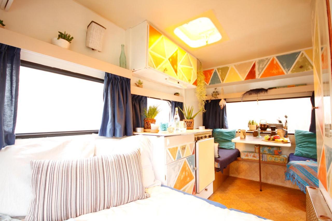 Bamboo Lodge Groningen Dış mekan fotoğraf