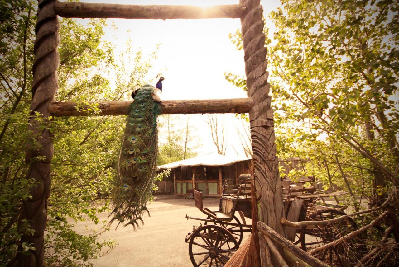 Bamboo Lodge Groningen Dış mekan fotoğraf