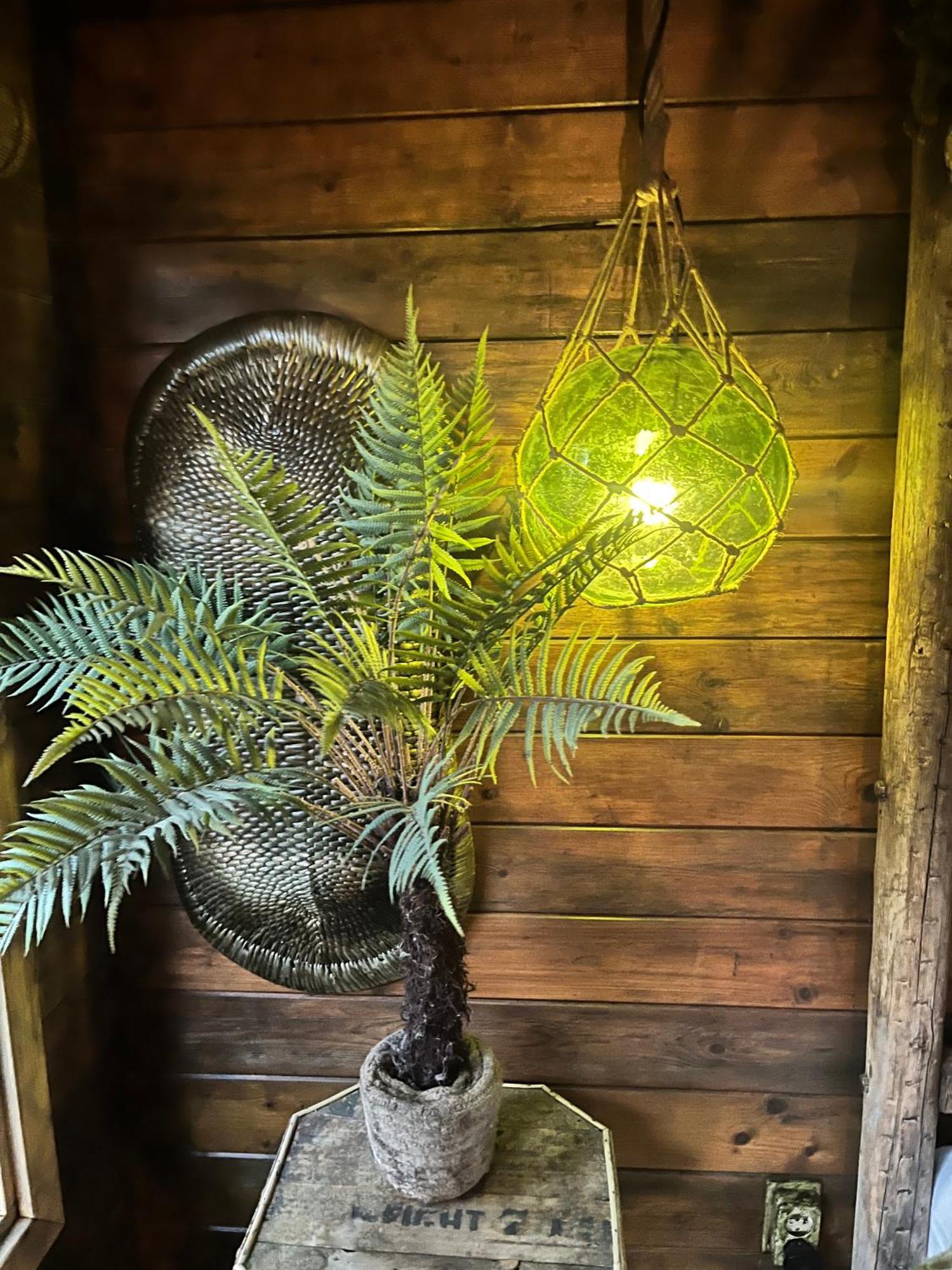 Bamboo Lodge Groningen Dış mekan fotoğraf